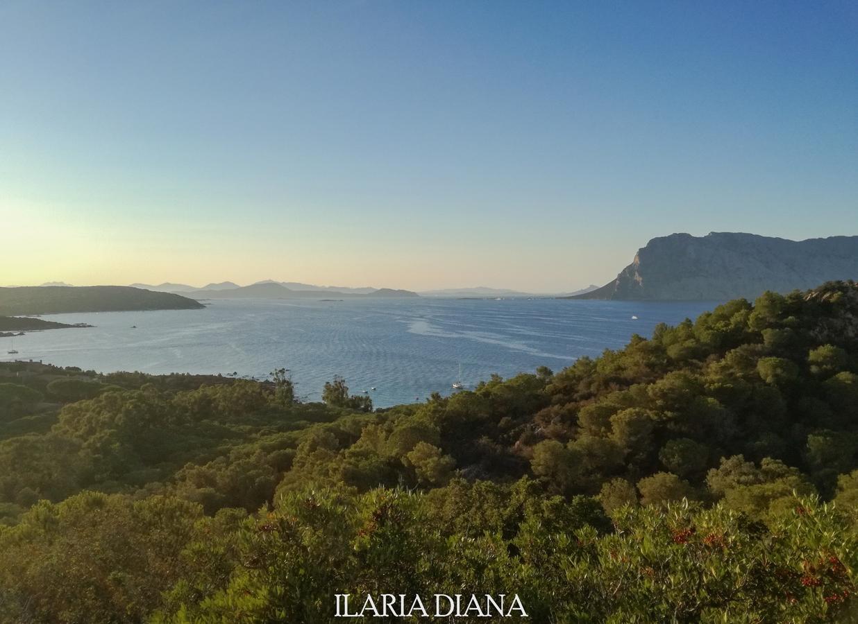 Residence Edilmare San Teodoro Exteriér fotografie